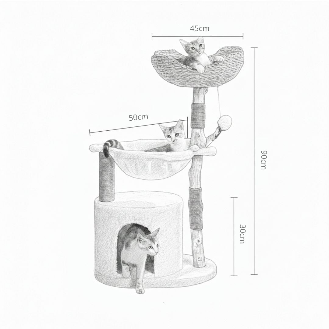 Arbre à chat en bois naturel – Modèle Safari