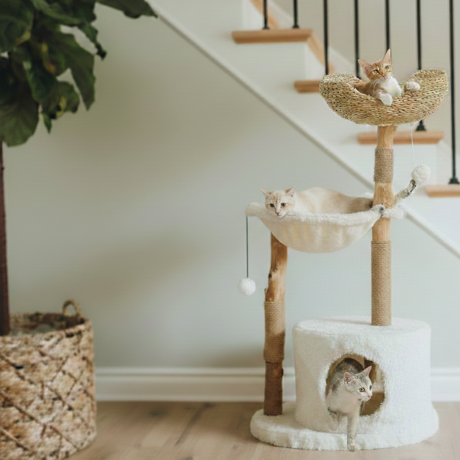 Arbre à chat en bois naturel – Modèle Safari